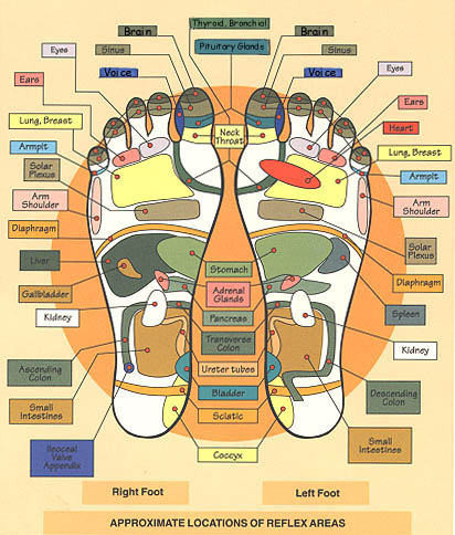 foot reflexology diagram